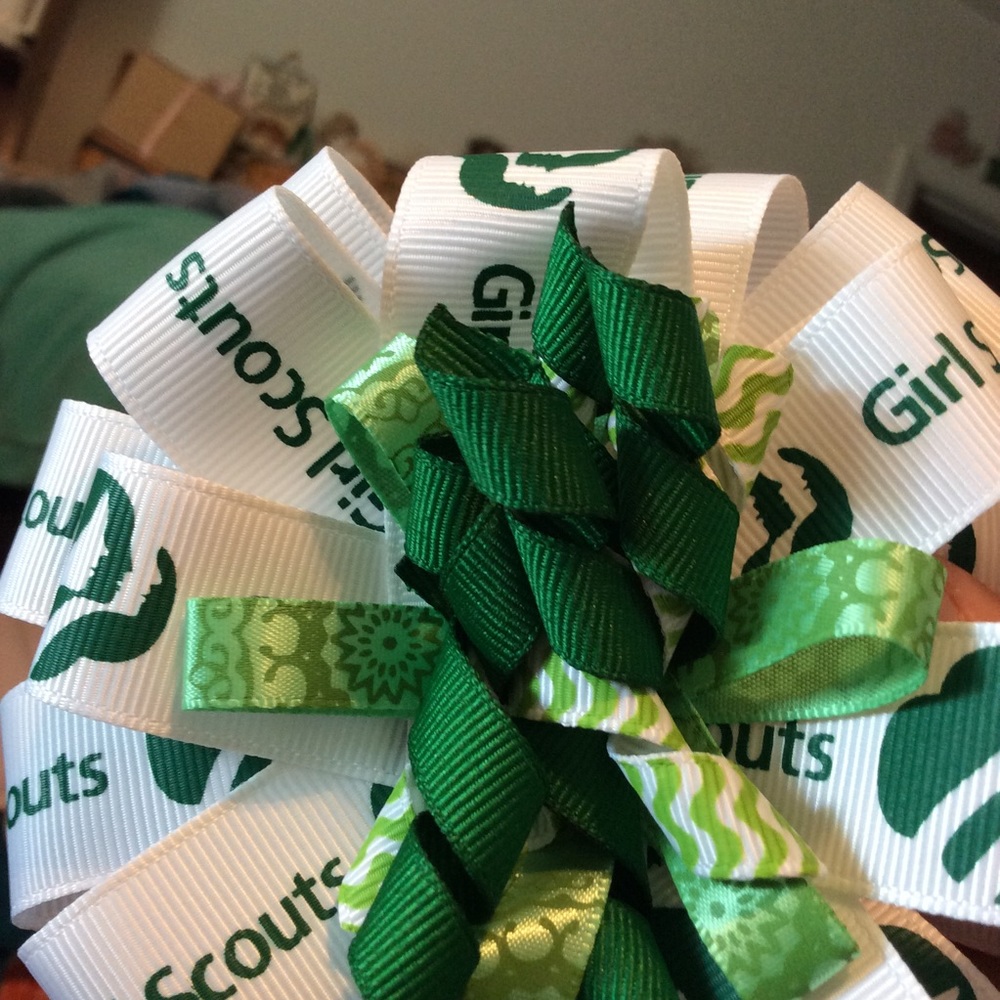Girl Scouts, Brownies, and Daisy Hair Bows